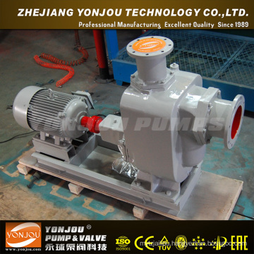 Yonjou Centrifugal Water Pump